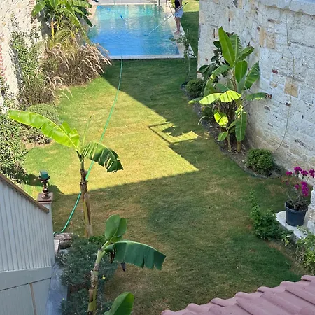 Elia Alacati Daire *